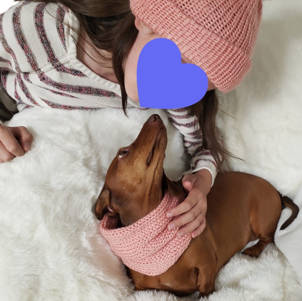 Knit Dog Scarf and Human Hat - Matching Set - Hand Knit Handmade - Two Pom Hat